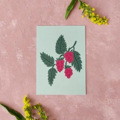 Pikku paperi Vadelma postikortti