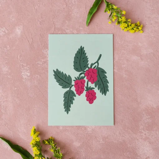 Pikku paperi Vadelma postikortti