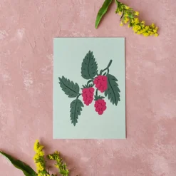 Pikku paperi Vadelma postikortti
