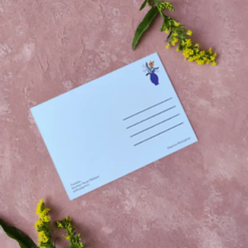 Pikku paperi Vadelma postikortti